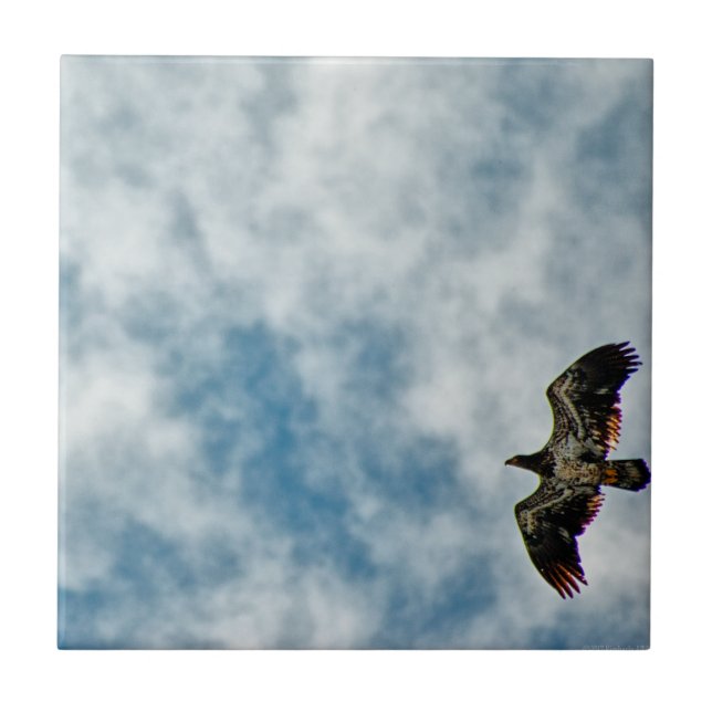 Possibilities Ahead Ceramic Tile (Front)