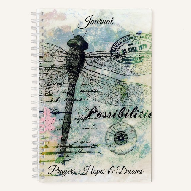 Possibilities dragonfly journal (Front)