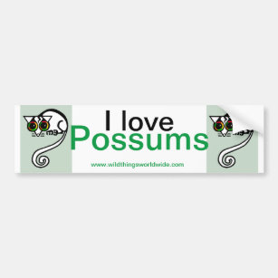 Possum - bumper sticker