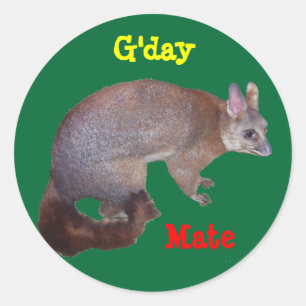 Possum Classic Round Sticker