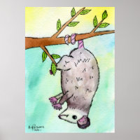 Possum Danglin'