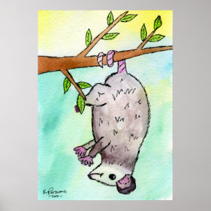 Possum Danglin' Poster