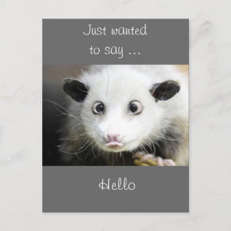 Possum Design Postcard