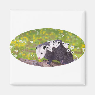 Possum family magnet