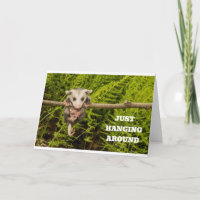 POSSUM HUMOR FOR "YOUR" BIRTHDAY