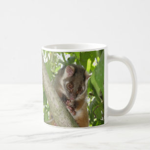 Possum In A Tree Coffee Mug