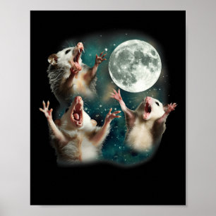 Possum Moon 3 Opossum Funny Weird Cursed Meme  Poster