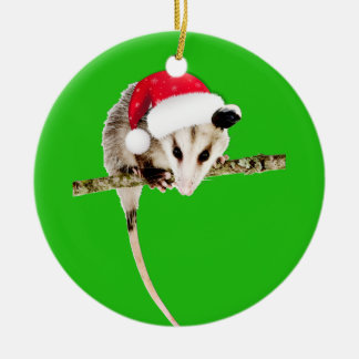 Possum ornament