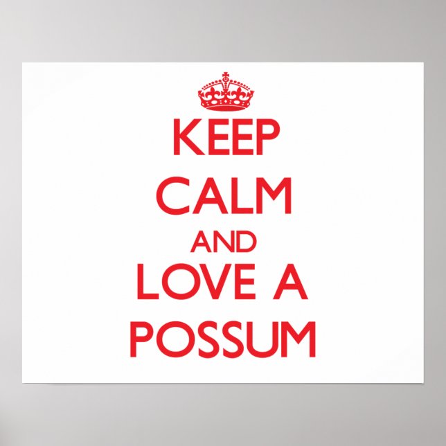 Possum Poster (Front)