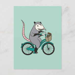 Possum Riding a Bicycle Postcard