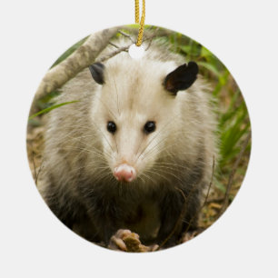 Possums are Pretty - Opossum Didelphimorphia Ceramic Ornament