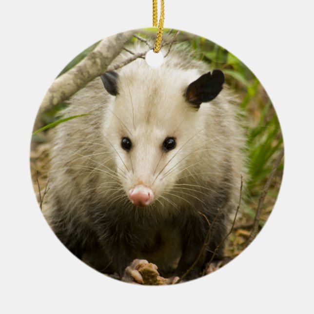 Possums are Pretty - Opossum Didelphimorphia Ceramic Ornament (Front)
