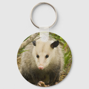 Possums are Pretty - Opossum Didelphimorphia Key Ring