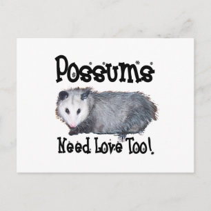 Possums Need Love Too Postcard