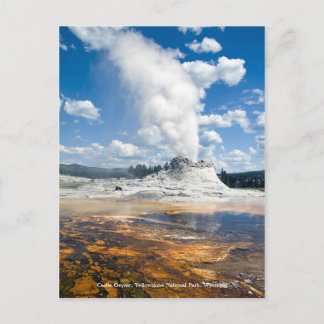 Post Card - Castle Geyser