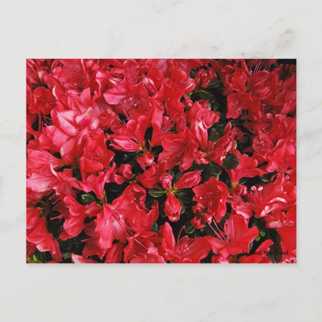 Post Card for Travel 5 (Front)