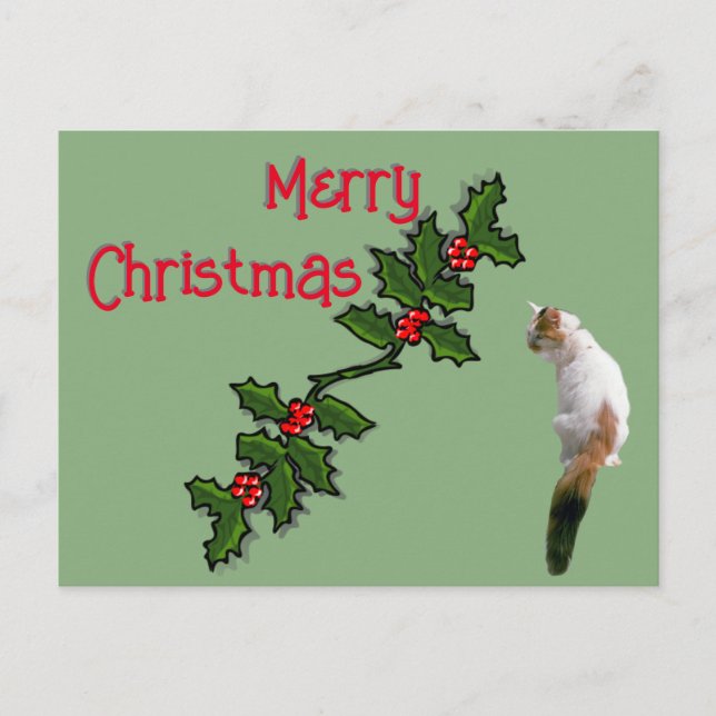 Post Card - Merry Christmas Holly and Calico Cat (Front)