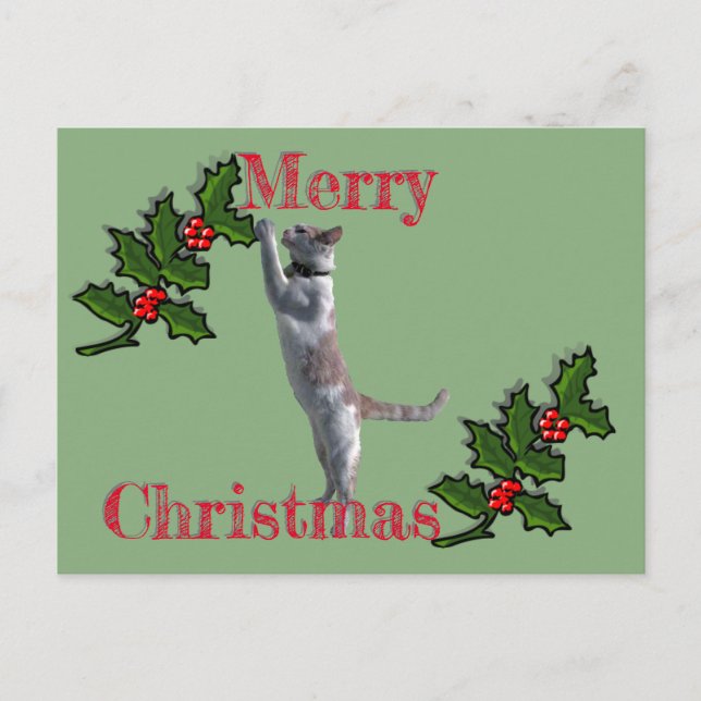 Post Card - Merry Christmas Holly and Cat (Front)