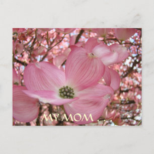 POST CARD My Mum Sweetest Life DOGWOOD FLOWERS