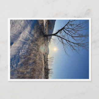 Post Card, Size: Standard Postcard, Paper: Matte, Postcard