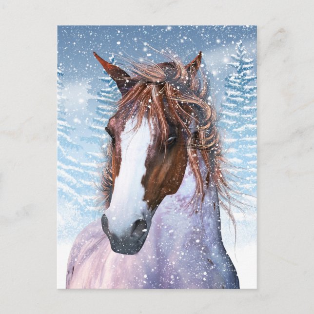 Post Card With Winter Horse In The Snow (Front)