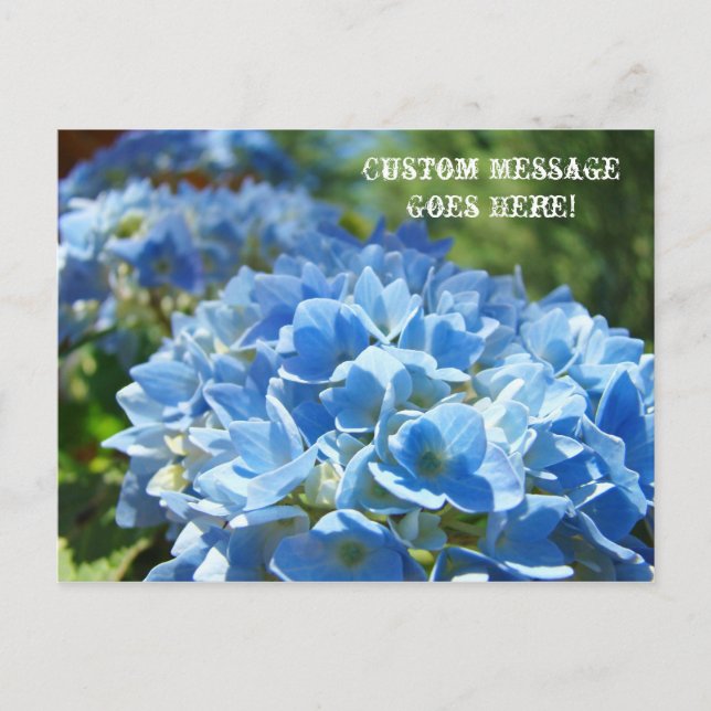 Post Cards Nature Custom Business Hydrangeas (Front)