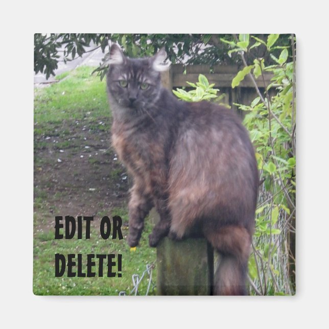 Post Cat Magnet (Front)