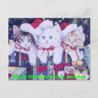 Post Christmas Cats Holiday Postcard