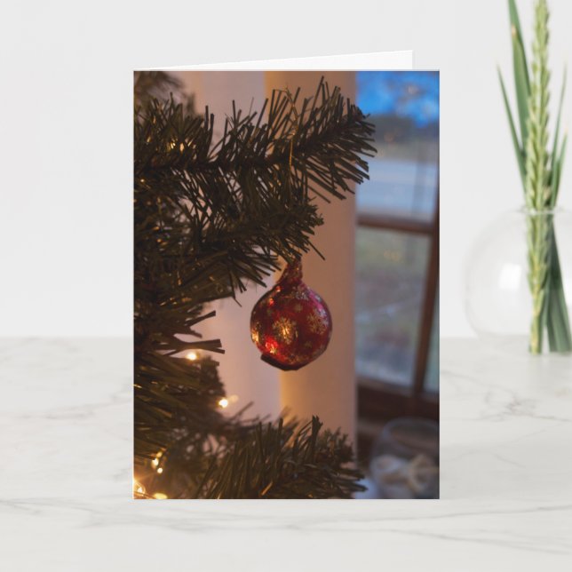 Post-Election Holiday Card 2 (Front)