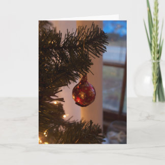 Post-Election Holiday Card 2