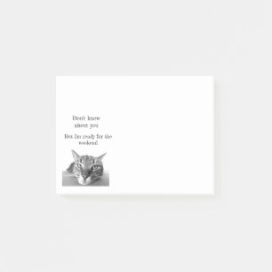 Post it Notes-Funny Cat  Post-it Notes