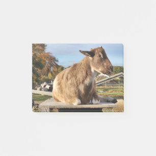 Post-It Notes "Goat"