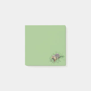 Post it notes ground squirrel