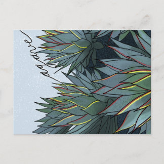 Postal Agave Mexico Souvenir Postcard
