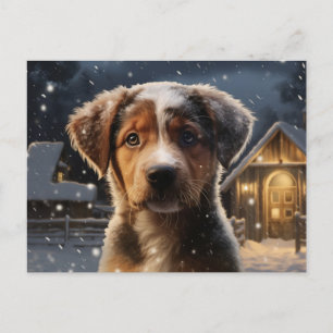 Postal card Dog 1-21