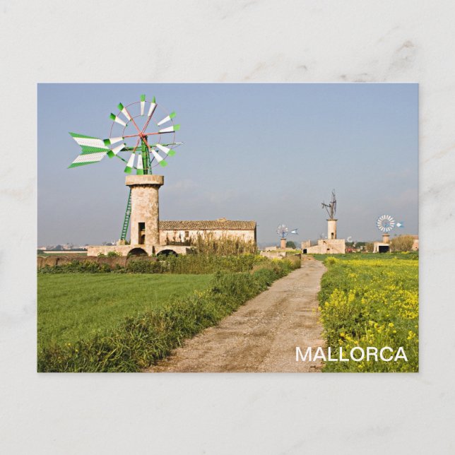 postal molino de viento en Mallorca Postcard (Front)