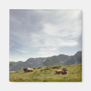 postalm road, weissenbachtal, 3 magnet