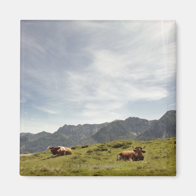 postalm road, weissenbachtal, 3 magnet (Front)