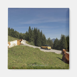 postalm road, weissenbachtal, magnet