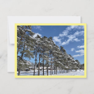 Postcard