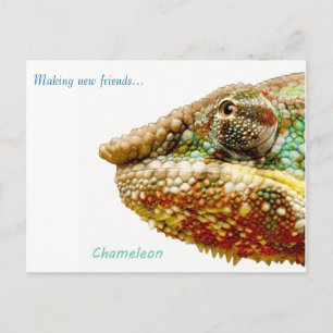 Postcard