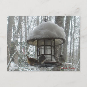 Postcard