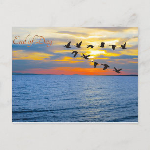 Postcard