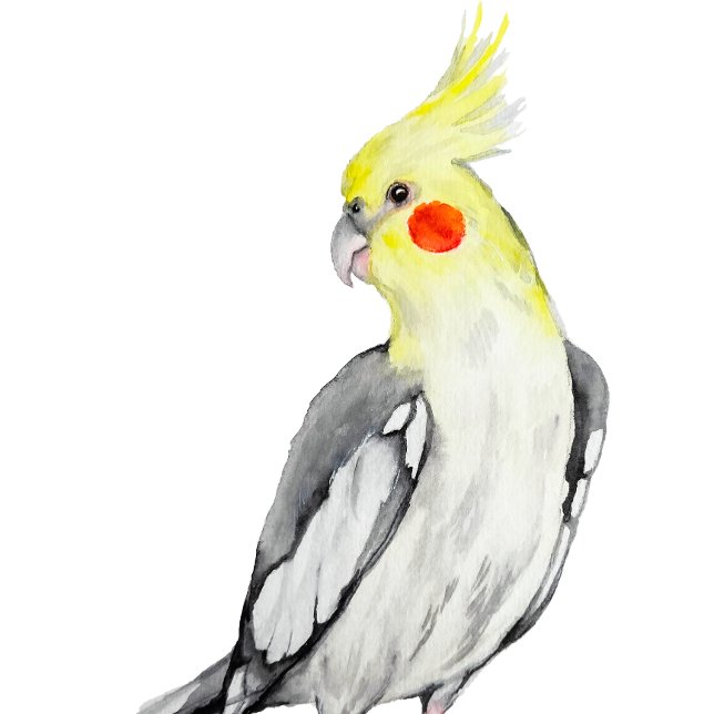 Postcard (Creator Uploaded)