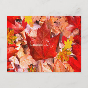 Postcard