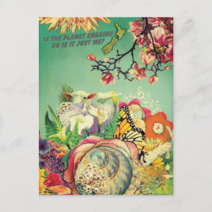 Postcard