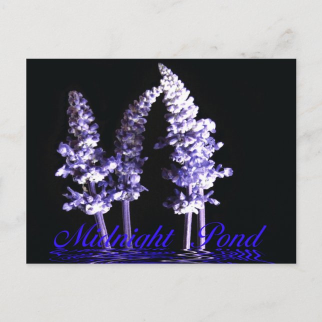 Postcard (Front)