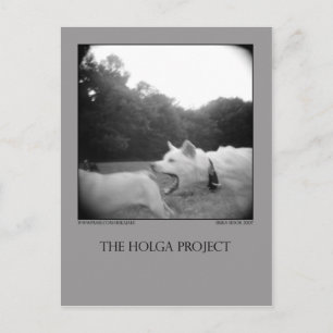 Postcard 7