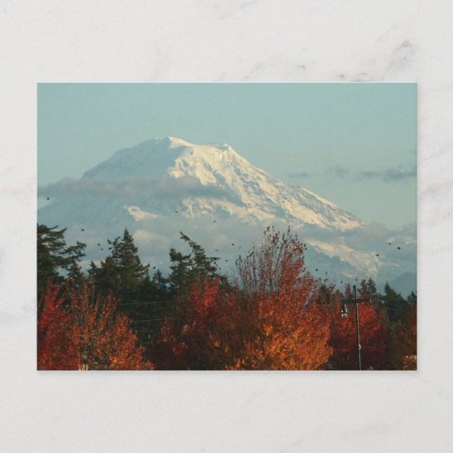 Postcard: Autumn Mt. Rainier Postcard (Front)