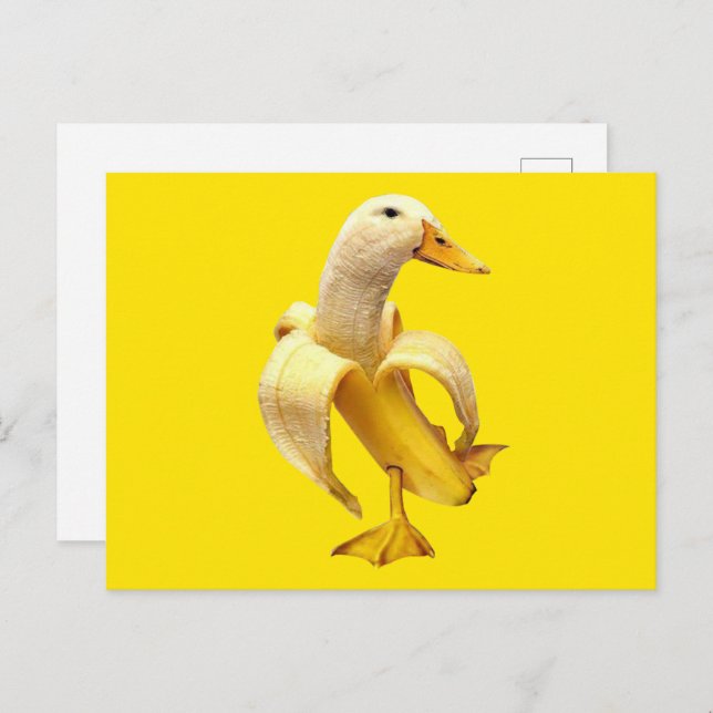 Postcard Banana Duck Meme (Front/Back)